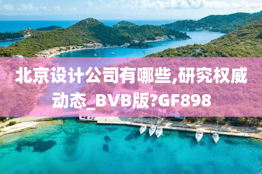 北京设计公司有哪些,研究权威动态_BVB版?GF898