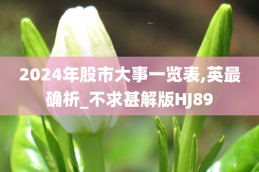 2024年股市大事一览表,英最确析_不求甚解版HJ89