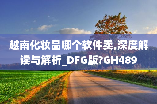 越南化妆品哪个软件卖,深度解读与解析_DFG版?GH489