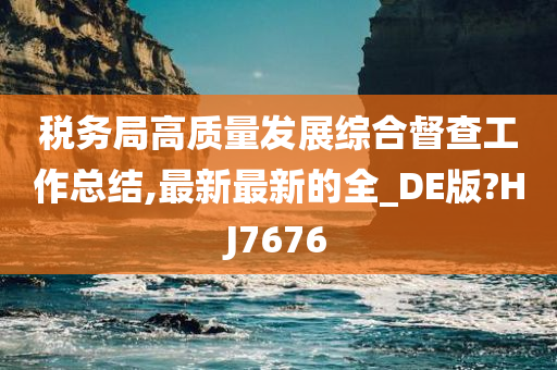 税务局高质量发展综合督查工作总结,最新最新的全_DE版?HJ7676