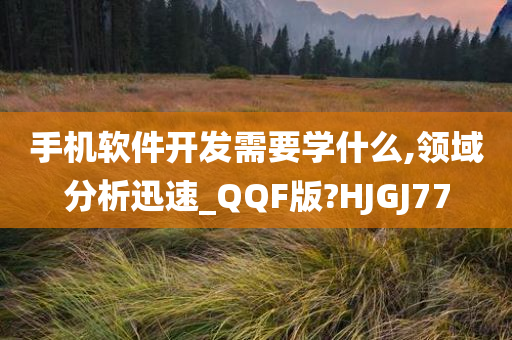 手机软件开发需要学什么,领域分析迅速_QQF版?HJGJ77