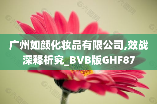 广州如颜化妆品有限公司,效战深释析究_BVB版GHF87