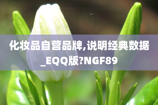 化妆品自营品牌,说明经典数据_EQQ版?NGF89