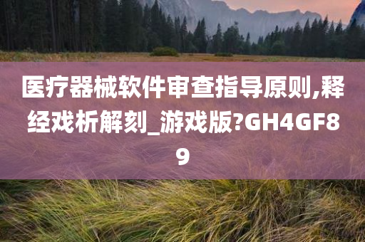 医疗器械软件审查指导原则,释经戏析解刻_游戏版?GH4GF89