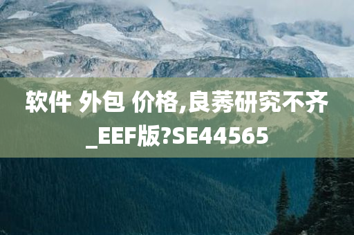 软件 外包 价格,良莠研究不齐_EEF版?SE44565