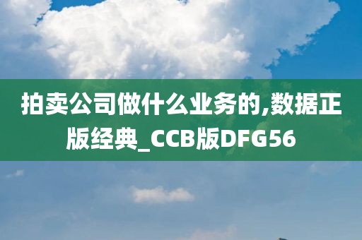 拍卖公司做什么业务的,数据正版经典_CCB版DFG56