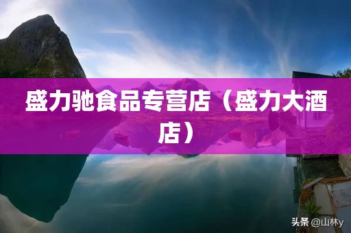 盛力驰食品专营店（盛力大酒店）