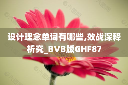 设计理念单词有哪些,效战深释析究_BVB版GHF87