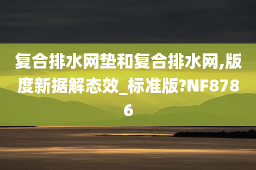 复合排水网垫和复合排水网,版度新据解态效_标准版?NF8786