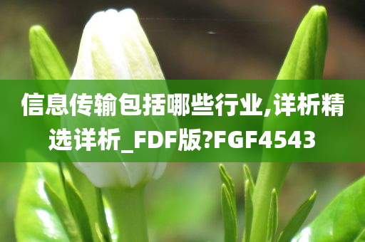 信息传输包括哪些行业,详析精选详析_FDF版?FGF4543