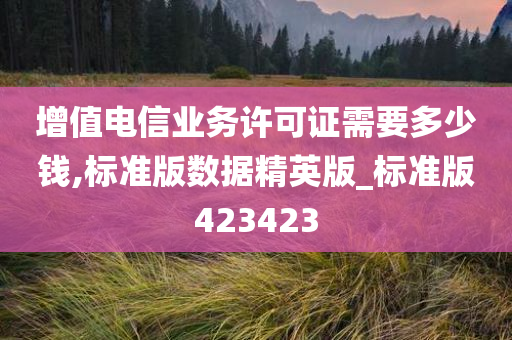 增值电信业务许可证需要多少钱,标准版数据精英版_标准版423423