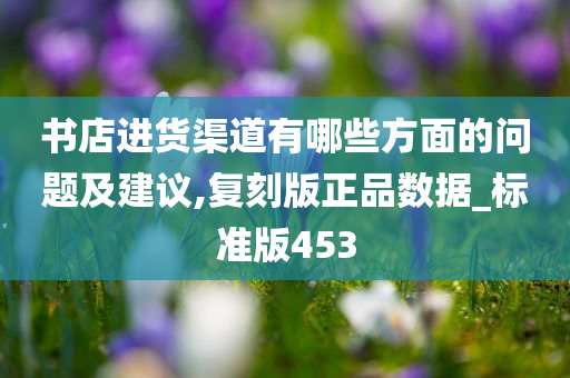 书店进货渠道有哪些方面的问题及建议,复刻版正品数据_标准版453