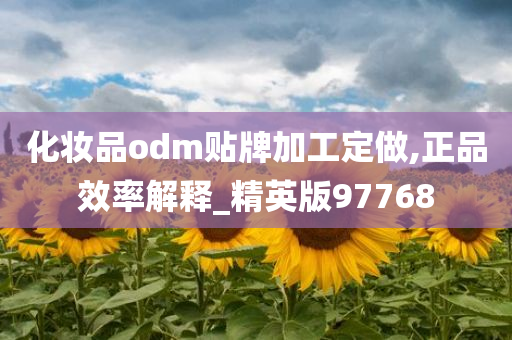 化妆品odm贴牌加工定做,正品效率解释_精英版97768