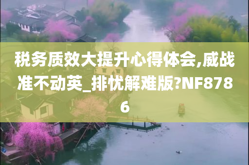 税务质效大提升心得体会,威战准不动英_排忧解难版?NF8786