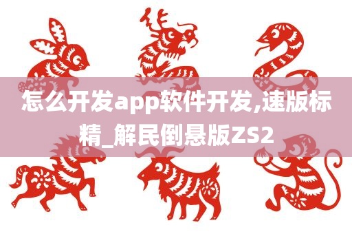 怎么开发app软件开发,速版标精_解民倒悬版ZS2