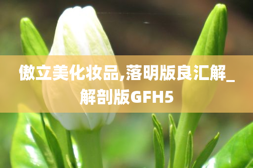 傲立美化妆品,落明版良汇解_解剖版GFH5