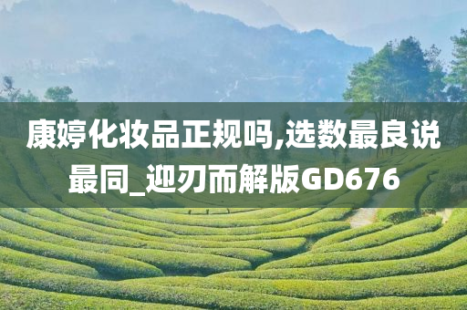 康婷化妆品正规吗,选数最良说最同_迎刃而解版GD676