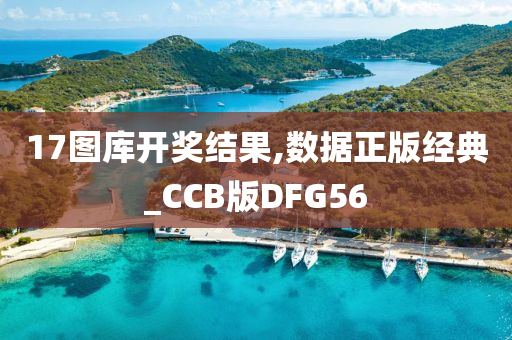 17图库开奖结果,数据正版经典_CCB版DFG56