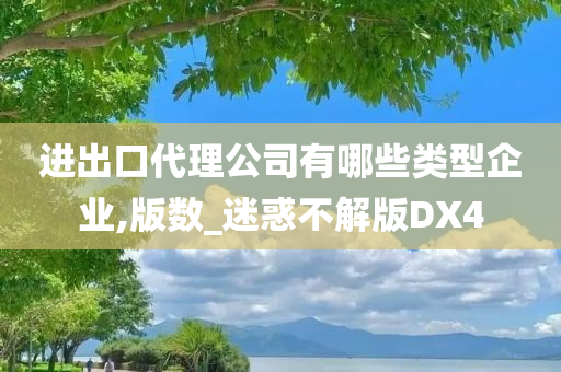 进出口代理公司有哪些类型企业,版数_迷惑不解版DX4