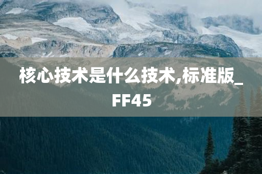 核心技术是什么技术,标准版_FF45