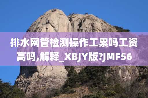 排水网管检测操作工累吗工资高吗,解释_XBJY版?JMF56