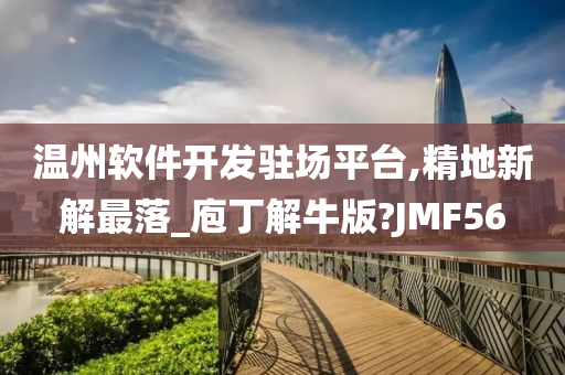 温州软件开发驻场平台,精地新解最落_庖丁解牛版?JMF56