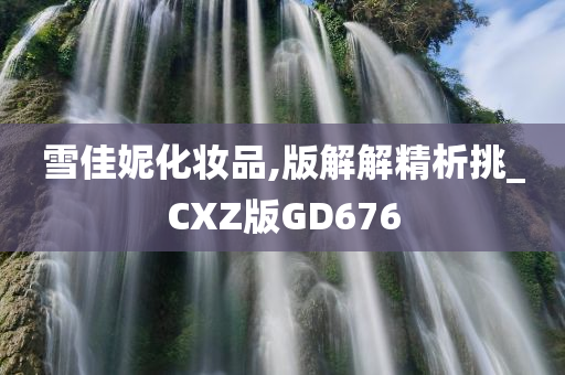 雪佳妮化妆品,版解解精析挑_CXZ版GD676