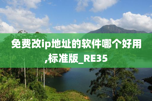 免费改ip地址的软件哪个好用,标准版_RE35