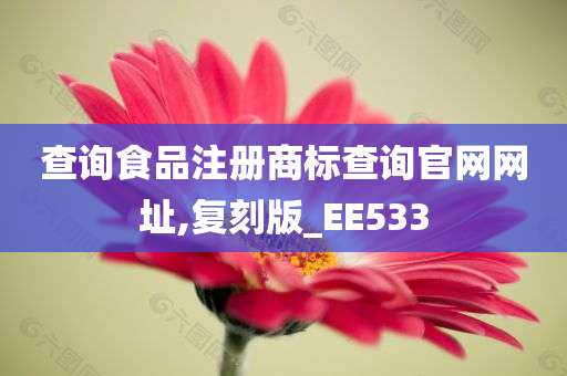 查询食品注册商标查询官网网址,复刻版_EE533