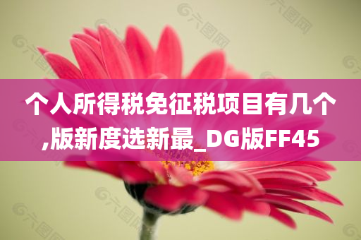 个人所得税免征税项目有几个,版新度选新最_DG版FF45