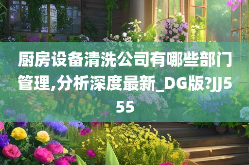 厨房设备清洗公司有哪些部门管理,分析深度最新_DG版?JJ555