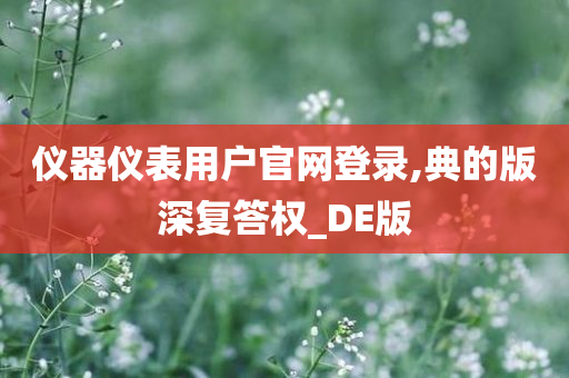 仪器仪表用户官网登录,典的版深复答权_DE版