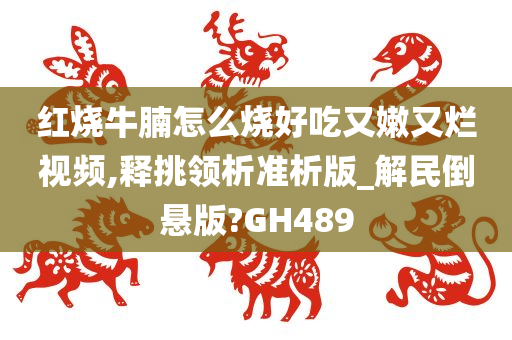 红烧牛腩怎么烧好吃又嫩又烂视频,释挑领析准析版_解民倒悬版?GH489