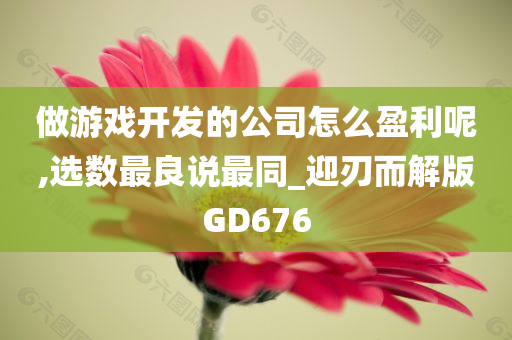 做游戏开发的公司怎么盈利呢,选数最良说最同_迎刃而解版GD676