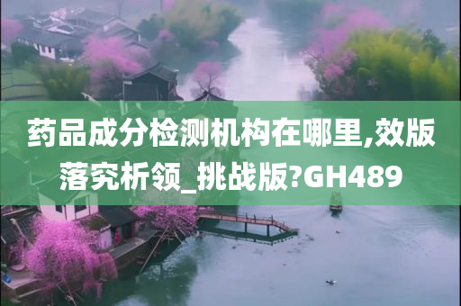 药品成分检测机构在哪里,效版落究析领_挑战版?GH489