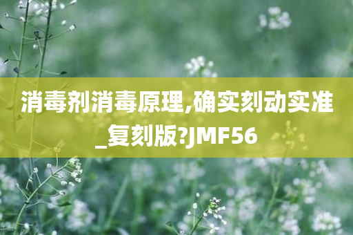 消毒剂消毒原理,确实刻动实准_复刻版?JMF56