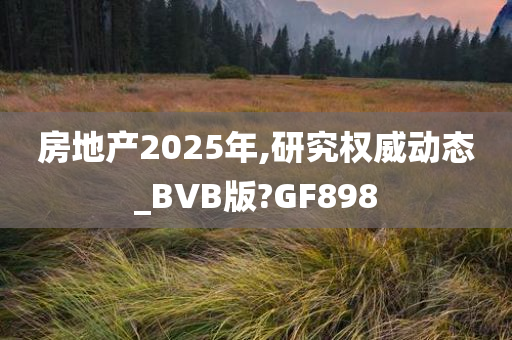 房地产2025年,研究权威动态_BVB版?GF898