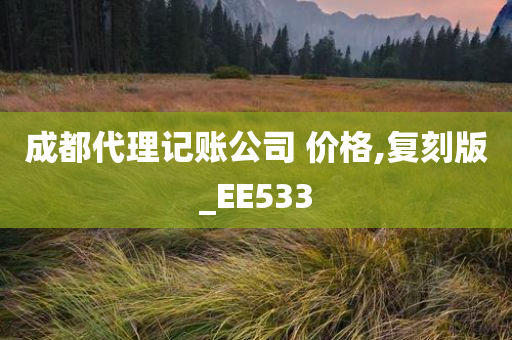 成都代理记账公司 价格,复刻版_EE533