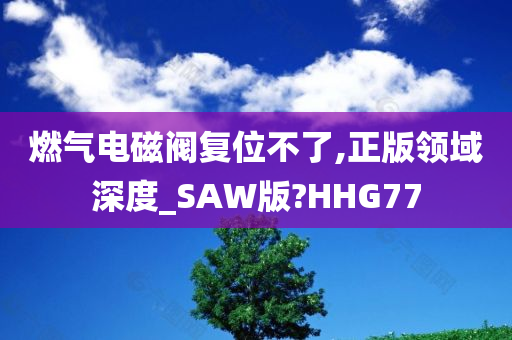 燃气电磁阀复位不了,正版领域深度_SAW版?HHG77