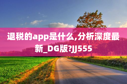 退税的app是什么,分析深度最新_DG版?JJ555