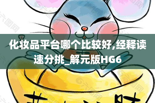 化妆品平台哪个比较好,经释读速分挑_解元版HG6