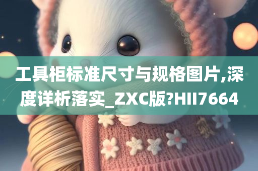 工具柜标准尺寸与规格图片,深度详析落实_ZXC版?HII7664