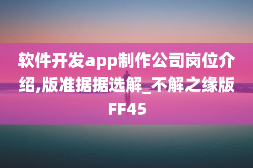 软件开发app制作公司岗位介绍,版准据据选解_不解之缘版FF45