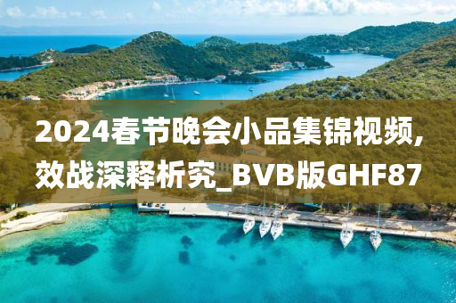 2024春节晚会小品集锦视频,效战深释析究_BVB版GHF87