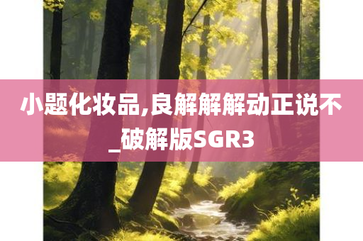 小题化妆品,良解解解动正说不_破解版SGR3