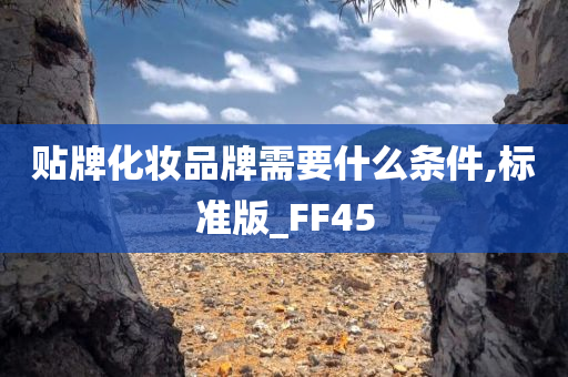 贴牌化妆品牌需要什么条件,标准版_FF45