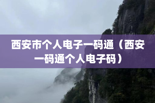 西安市个人电子一码通（西安一码通个人电子码）