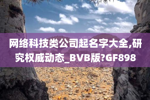 网络科技类公司起名字大全,研究权威动态_BVB版?GF898