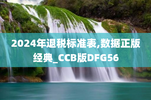 2024年退税标准表,数据正版经典_CCB版DFG56