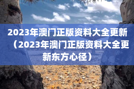 2023年澳门正版资料大全更新（2023年澳门正版资料大全更新东方心径）